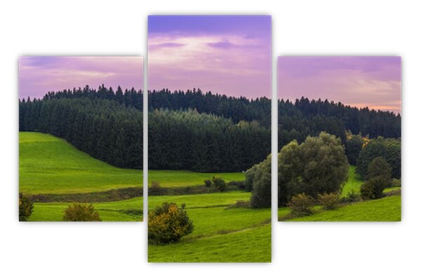 Tablou cu lunca (90x60 cm)