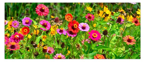 Tablou cu flori de luncă (120x50 cm)