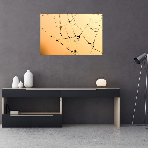 Tablou cu pânză de pâianjen cu rouă (90x60 cm)
