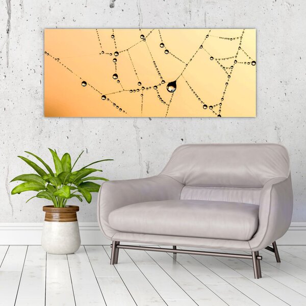 Tablou cu pânză de pâianjen cu rouă (120x50 cm)