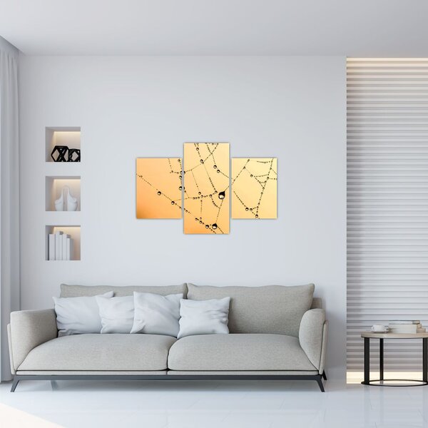 Tablou cu pânză de pâianjen cu rouă (90x60 cm)