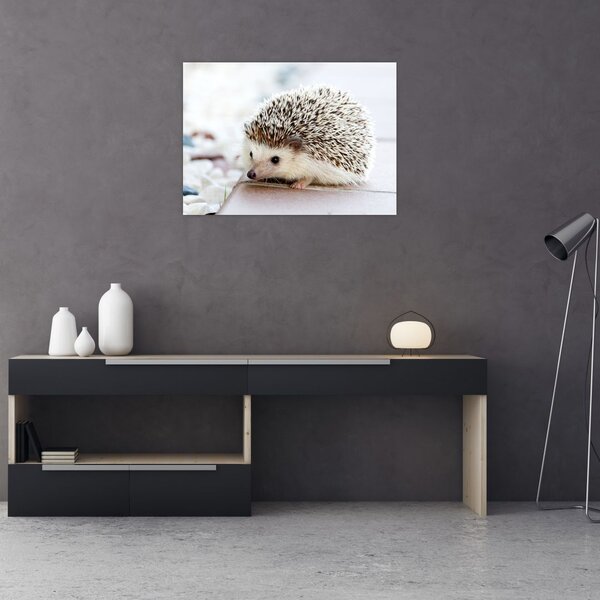 Tablou cu arici (70x50 cm)