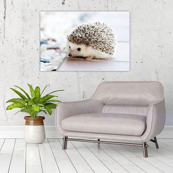 Tablou cu arici (90x60 cm)