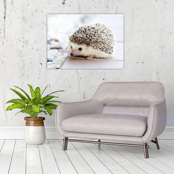 Tablou cu arici (70x50 cm)