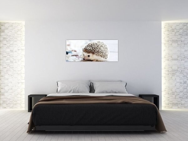 Tablou cu arici (120x50 cm)