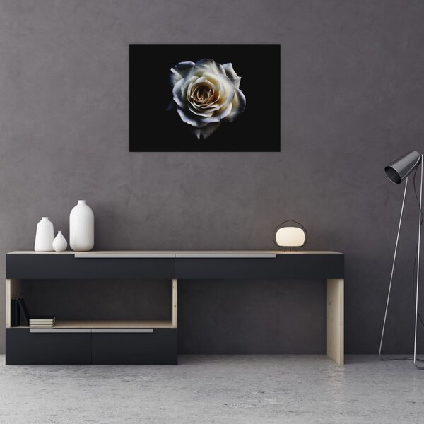 Tablou cu trandafir alb (70x50 cm)