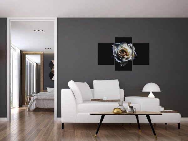 Tablou cu trandafir alb (90x60 cm)