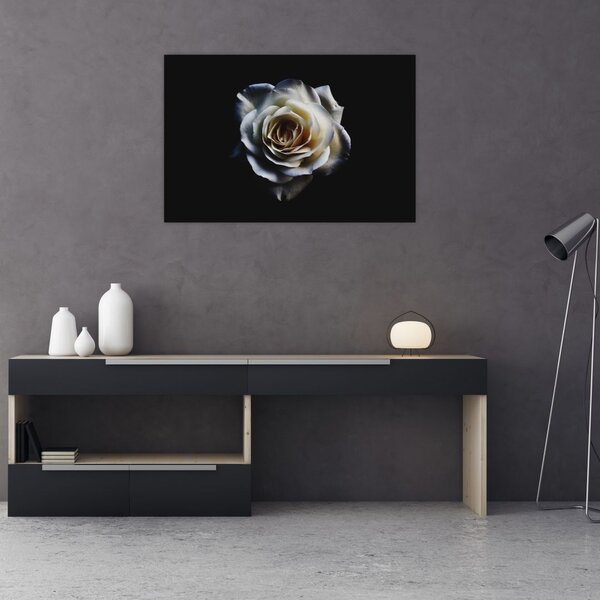 Tablou cu trandafir alb (90x60 cm)