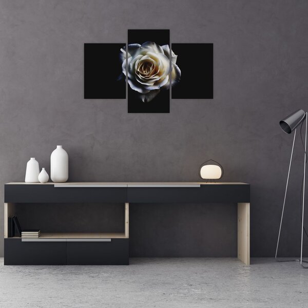 Tablou cu trandafir alb (90x60 cm)