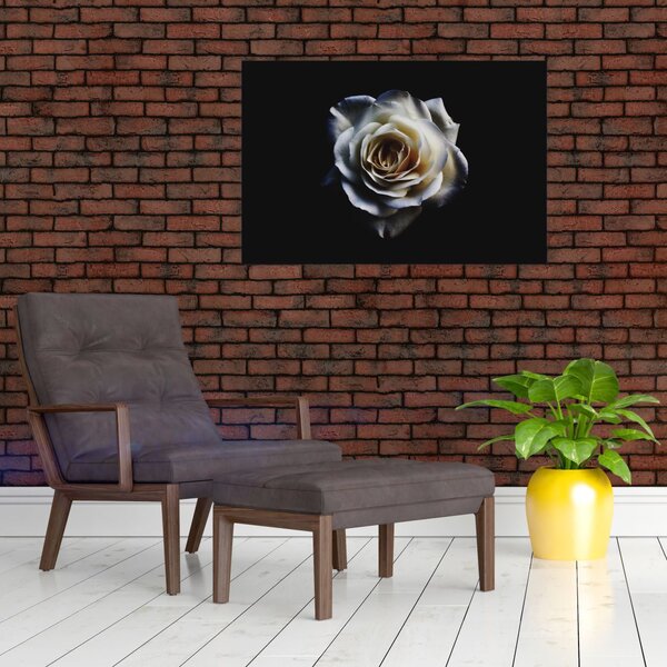 Tablou cu trandafir alb (90x60 cm)