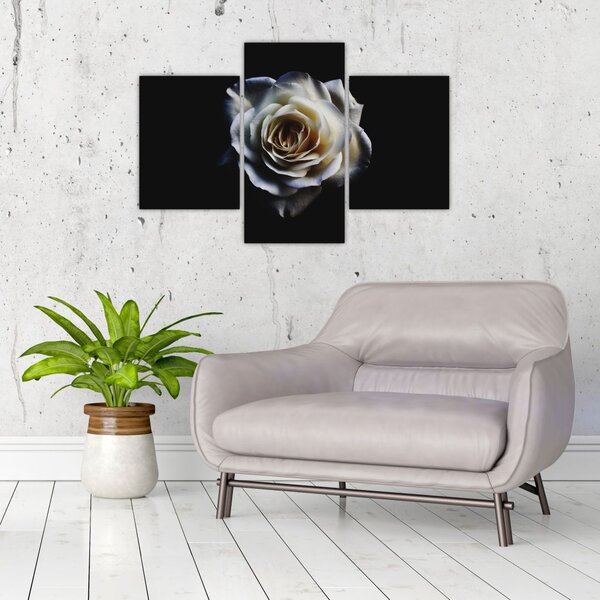 Tablou cu trandafir alb (90x60 cm)