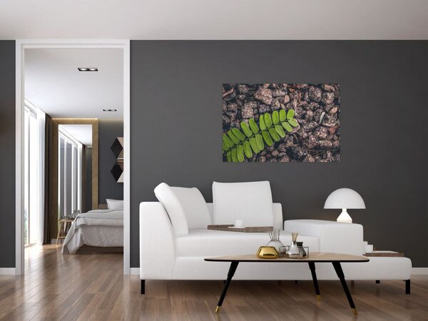 Tablou cu planta verde (90x60 cm)