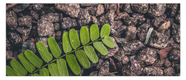Tablou cu planta verde (120x50 cm)