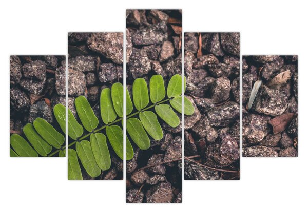 Tablou cu planta verde (150x105 cm)