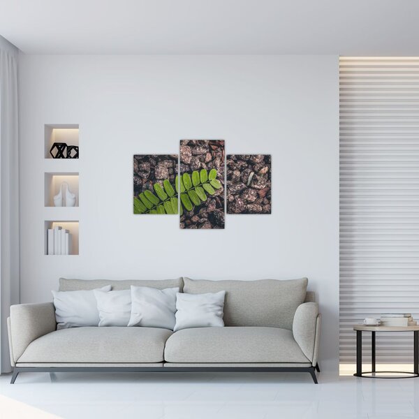Tablou cu planta verde (90x60 cm)