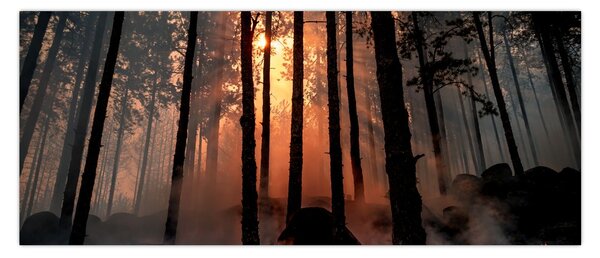 Tablou cu pădure întunecată (120x50 cm)