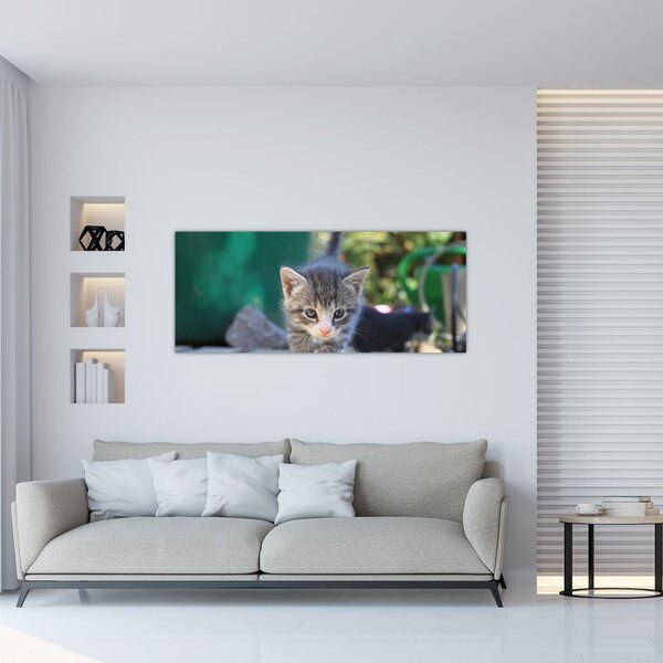 Tablou cu pisicuțe (120x50 cm)