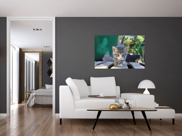Tablou cu pisicuțe (90x60 cm)