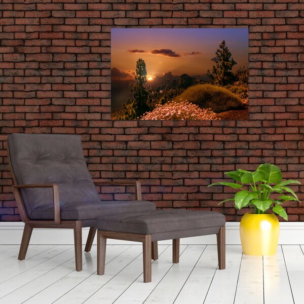 Tablou naturii cu apus de soare (90x60 cm)