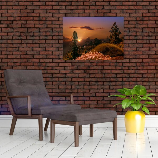 Tablou naturii cu apus de soare (70x50 cm)