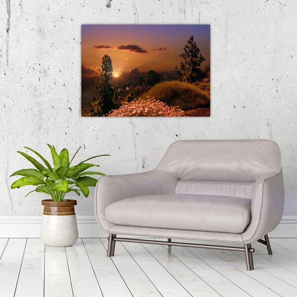 Tablou naturii cu apus de soare (70x50 cm)