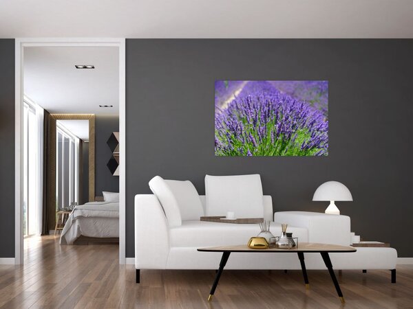 Tablou - lavanda (90x60 cm)