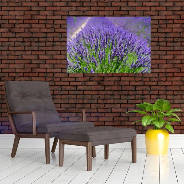 Tablou - lavanda (90x60 cm)