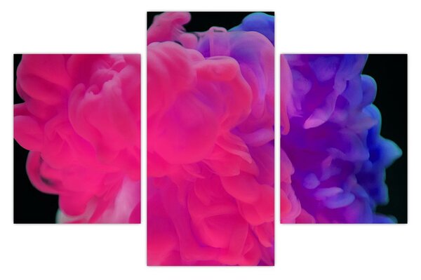 Tablou cu fum colorat (90x60 cm)