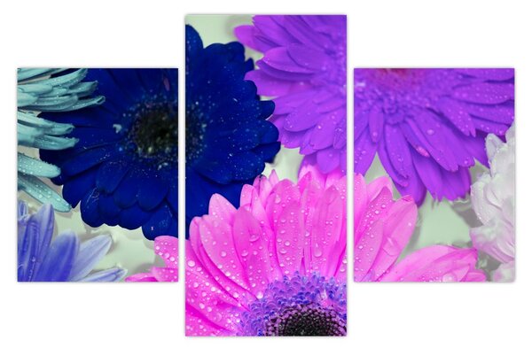 Tablou cu flori colorate (90x60 cm)