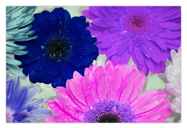 Tablou cu flori colorate (90x60 cm)