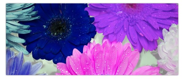 Tablou cu flori colorate (120x50 cm)