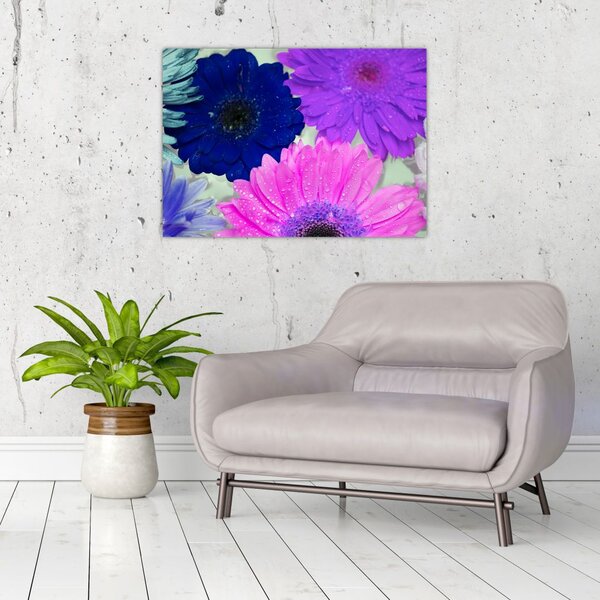 Tablou cu flori colorate (70x50 cm)
