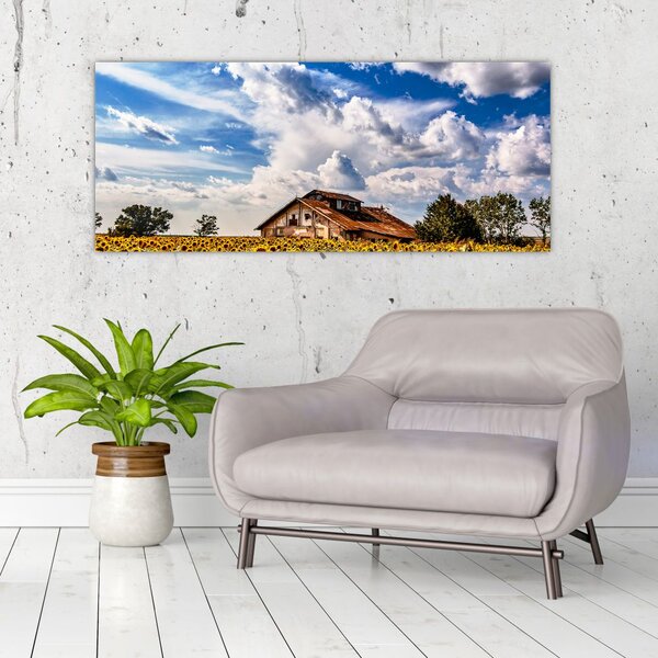 Tablou cu câmp de floarea soarelui (120x50 cm)