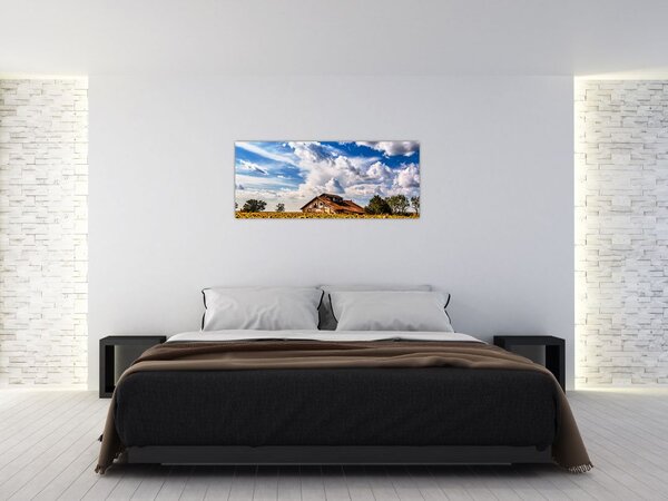 Tablou cu câmp de floarea soarelui (120x50 cm)