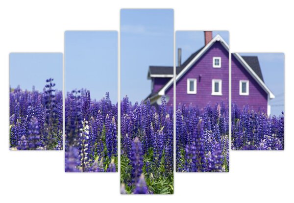 Tablou cu câmp de lavanda (150x105 cm)