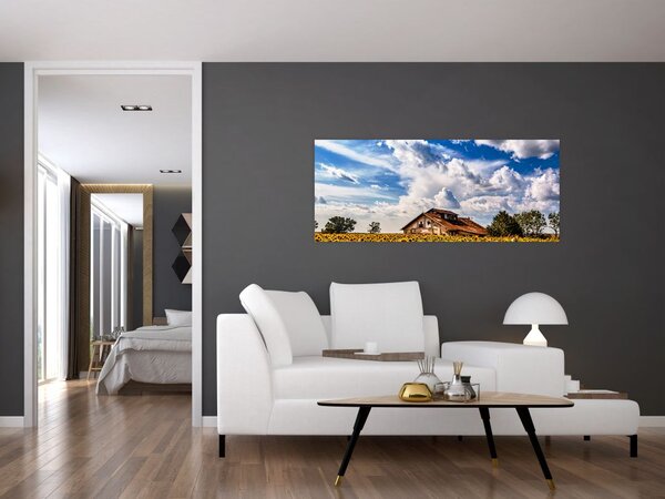 Tablou cu câmp de floarea soarelui (120x50 cm)