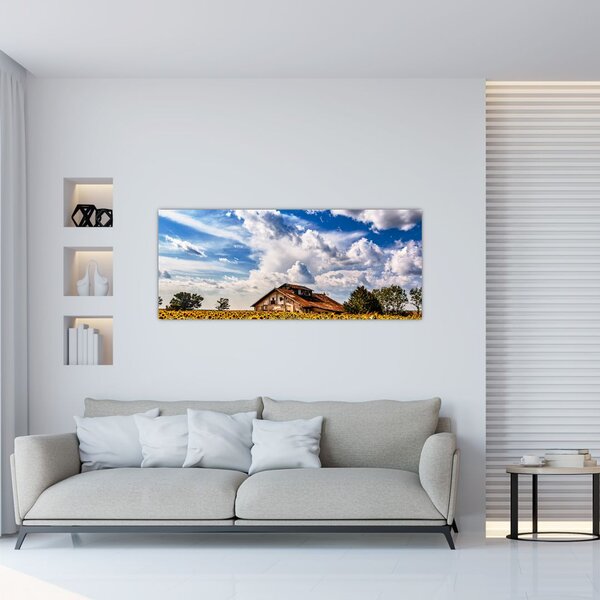 Tablou cu câmp de floarea soarelui (120x50 cm)