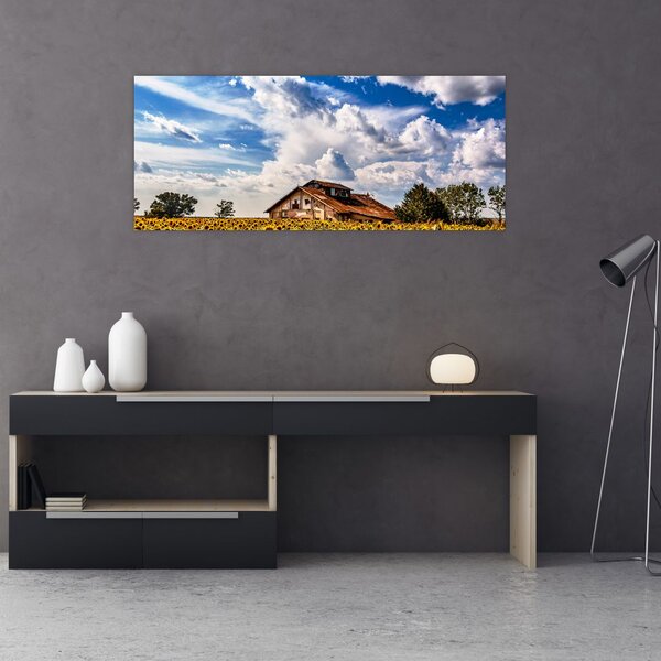 Tablou cu câmp de floarea soarelui (120x50 cm)