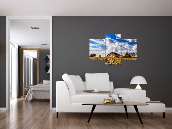 Tablou cu câmp de floarea soarelui (90x60 cm)