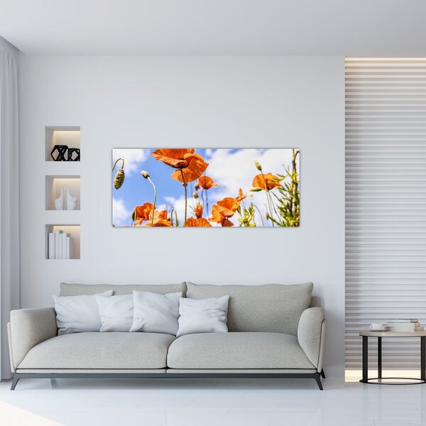 Tablou cu macii (120x50 cm)
