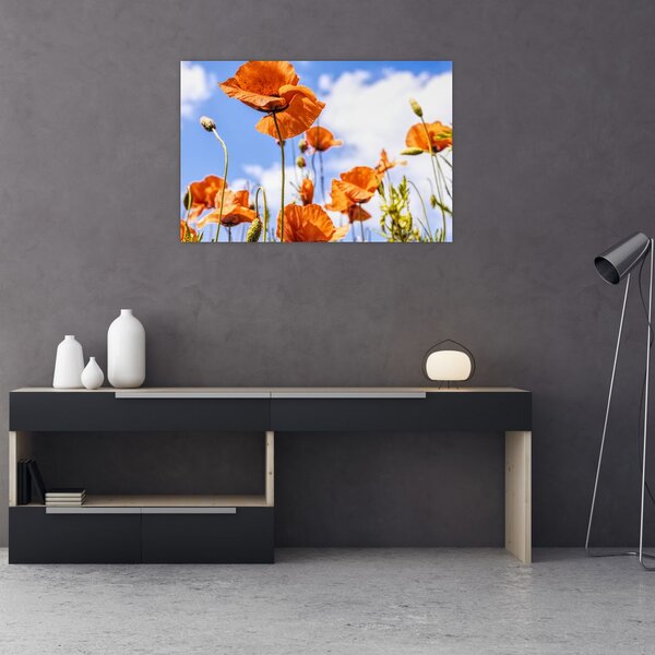 Tablou cu macii (90x60 cm)