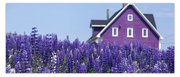 Tablou cu câmp de lavanda (120x50 cm)