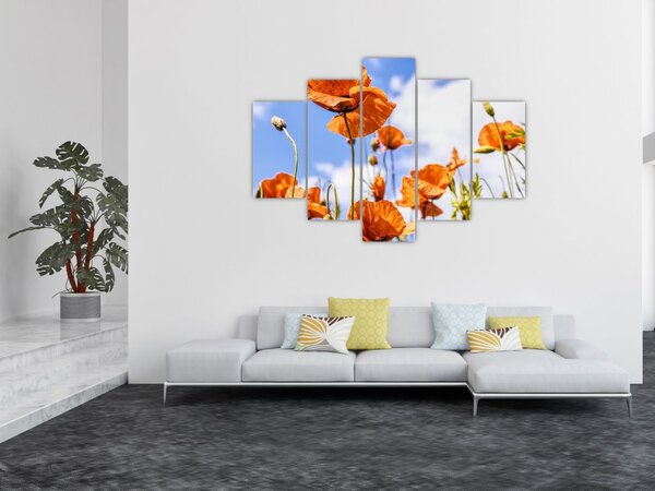 Tablou cu macii (150x105 cm)