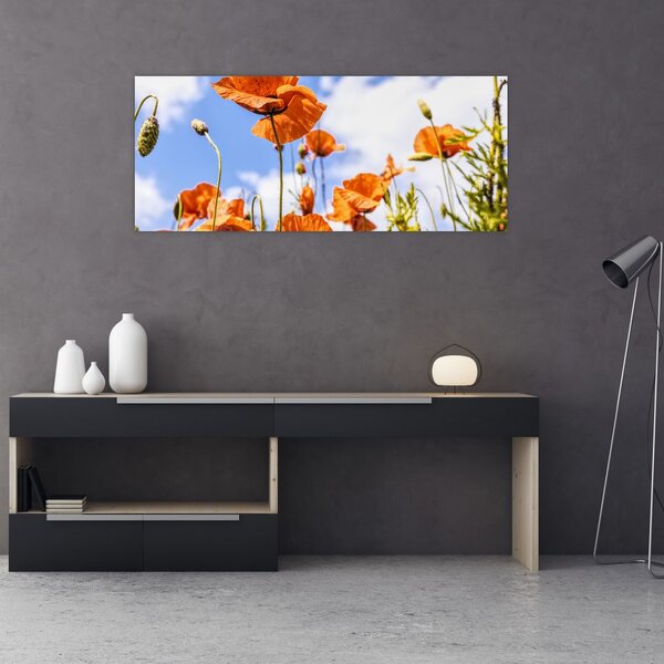 Tablou cu macii (120x50 cm)