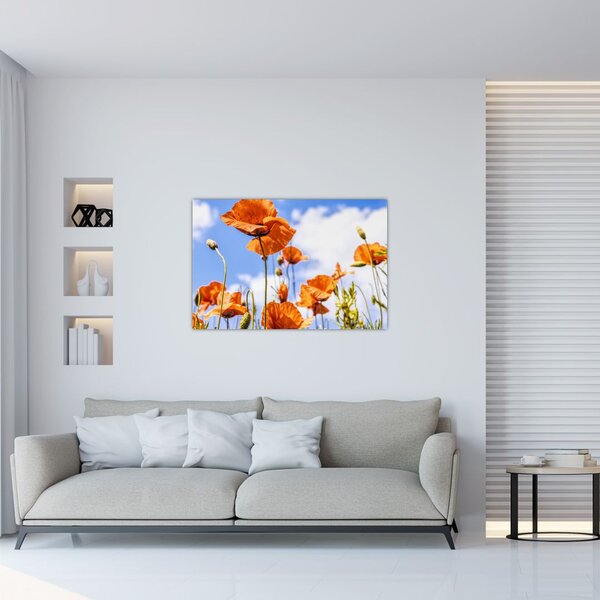 Tablou cu macii (90x60 cm)