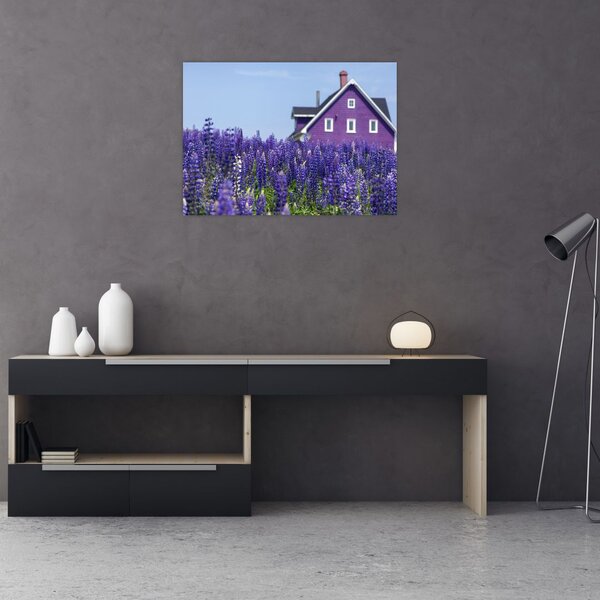 Tablou cu câmp de lavanda (70x50 cm)