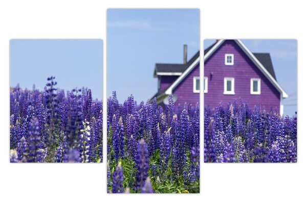 Tablou cu câmp de lavanda (90x60 cm)