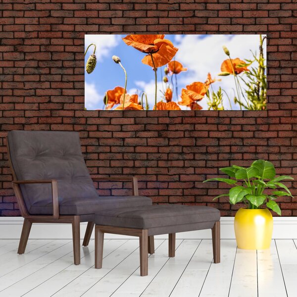 Tablou cu macii (120x50 cm)