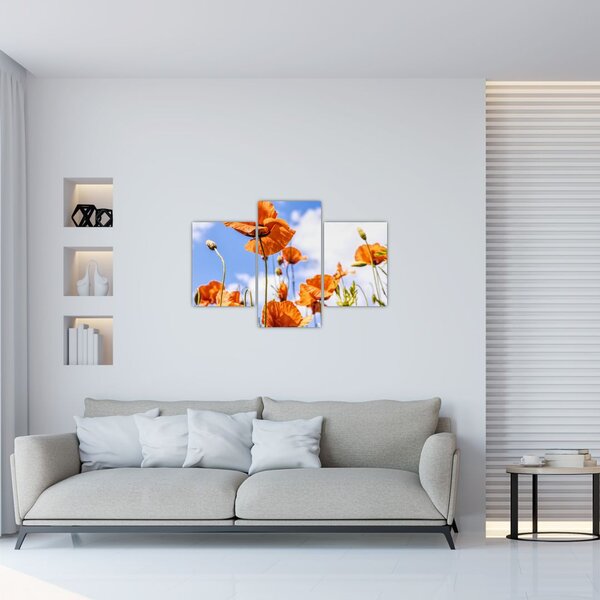 Tablou cu macii (90x60 cm)