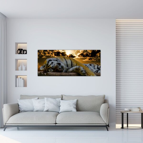 Tablou tigrul dormind (120x50 cm)